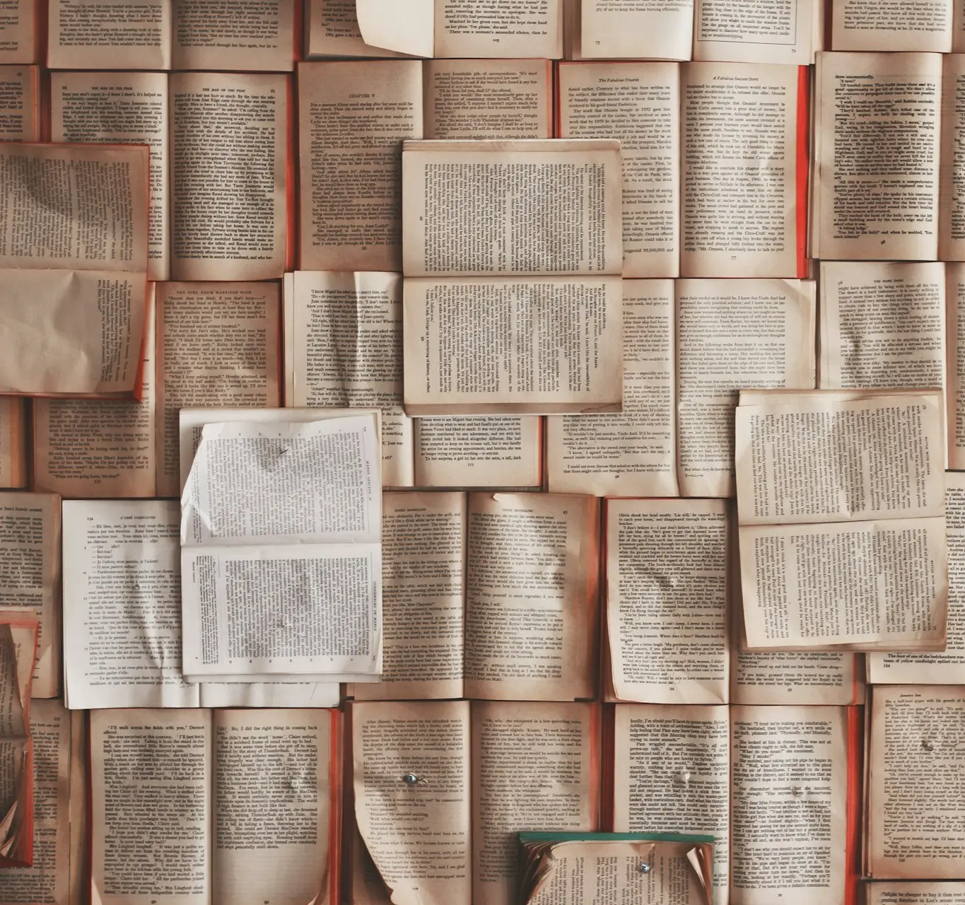open book lot